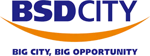 BSD City